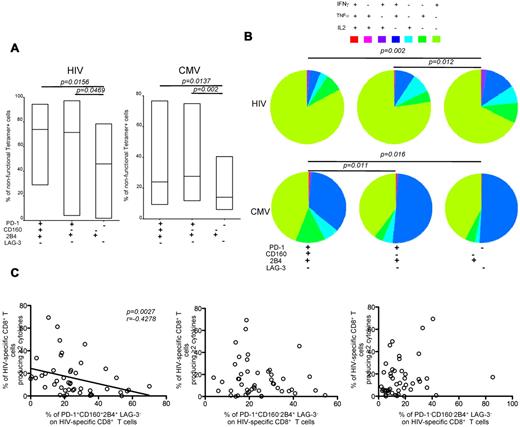 Figure 5. Inhibitory marker coexpression correlates inversely with polyfunctionality. (A) 10 HIV+ subjects from Duke University were studied. Representative plots of intracellular cytokine staining combined with SL9/HLA A*0201, NV9/HLA A*0201, TM9/HLA B*0702, TM10/HLA B*0702, or TW10/HLA B*5701 tetramer staining of CD8+ T cells are shown. Cells were independently stimulated with individual epitopic peptides for 6 hours. Pooled data lower panels represent the percentage of nonfunctional CD8+ T cells with PD-1+CD160+2B4+LAG-3−, PD-1+CD160−2B4+LAG-3−, and PD-1−CD160−2B4+LAG-3− expression profiles within tetramer+ or any cytokine+ populations (HIV-specific responses, n = 7; CMV-specific responses, n = 10). (B) The fraction of the total response composing cells expressing each of the 7 possible combinations of IFN-γ, IL-2, and TNF-α production within the PD-1+CD160+2B4+LAG-3−, PD-1+CD160−2B4+LAG-3−, and PD-1−CD160−2B4+LAG-3− populations. Cells were stimulated with the HIV-1 Gag peptide pool (n = 47) or the CMV pp65 peptide pool (n = 60), respectively. (C) Comparisons between polyfunctionality and the percentage of PD-1+CD160+2B4+LAG-3−, PD-1+CD160−2B4+LAG-3−, and PD-1−CD160−2B4+LAG-3− expression profiles on HIV-specific CD8+ T cells as a function of pVL (n = 47). Lines indicate correlations detected by Prism software Version 5.0c.