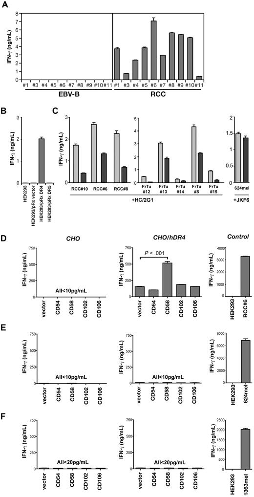 Figure 1. RCC recognition by HC/2G-1 is blocked by anti-TRAIL Ab and expression of DR4 (TRAIL-R1) and CD58 on target cells confers HC/2G-1 recognition. (A) RCC and EBV-B lines from 10 patients were cocultured with HC/2G-1 cells, and IFN-γ in the culture supernatant was detected by ELISA after 20 hours of coculture. Cell line numbers from the same patient are matched between EBV-B and RCC. HC/2G-1 was derived from the patient 1. Error bars indicate SEM. (B) HEK-293 and its mock-, DR4-, or DR5-transduced variants were cocultured with HC/2G-1 T cells, and T-cell activation was measured by IFN-γ ELISA. Error bars indicate SEM. (C) HC-2G-1 cells were preincubated with either an isotype-matched control Ab (gray bars) or an anti-TRAIL Ab (black bars), and cocultured with various RCC cell lines (left panel) or enzyme-digested fresh RCC cells (middle panel). In the right panel, MART127-35-reactive control CD8+ tumor-infiltrating lymphocytes (JKF6) were similarly preincubated with Abs and cocultured with 624mel, a human melanoma cell line. After a 20-hour coculture, IFN-γ in the supernatant was measured by ELISA. Error bars indicate SEM. (D-F) cDNA library expression screening using CHO cells stably transduced with DR4 as the transfection target identified CD58 as the second crucial element. The effect of DR4 and CD58 expression on recognition was specific to HC/2G-1 cells. CHO and CHO/hDR4 cells were transiently transfected with GFP, CD58, CD54, CD102, or CD106 cDNA expression plasmids. After 24 hours, HC/2G-1 T cells (D), MART127-35-reactive negative control CD8 T cells (E), or HLA-DRβ1*0401–restricted gp100 44-59-reactive negative control CD4 T cells (F) were added and IFN-γ in the supernatant was measured by ELISA at 20 hours of coculture. Error bars indicate SEM. Representative results from at least 3 similar experiments are presented.