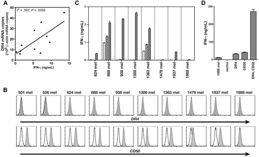 Figure 3. Expression of DR4 and CD58 on melanoma cells confers HC/2G-1 recognition. (A) Correlation between DR4 mRNA expression (as shown by quantitative RT-PCR) and strength of recognition by HC/2G-1 (as shown by IFN-γ secretion). Linear regression analysis yielded R2 = .587 and P = .0059. (B) Expression of DR4 and CD58 on melanoma cell lines was analyzed by flow cytometry. (C) Effect of retroviral transduction of DR4 or DR5 into human melanoma cell lines on their recognition by HC/2G-1. Parental (white bars), mock-transduced (hatched bars), DR4-transduced (gray bars), and DR5-transduced (black bars) were cocultured with HC/2G-1 cells, and the IFN-γ concentration was measured by ELISA. Error bars indicate SEM. (D) 1988mel, a human melanoma cell line that lacks expression of both DR4 and CD58, becomes sensitive to HC/2G-1 when transduced with both genes. 1988mel cells were retrovirally transduced with cDNA, as shown, and were tested for recognition by HC/2G-1 cells. Error bars indicate SEM. Representative data from 3 experiments are shown.