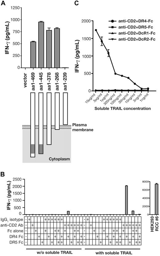 Figure 4. Activation of HC/2G-1 T cells by DR4 loaded with soluble TRAIL. (A) CHO/CD58 cells were transduced with retroviruses that encode various truncations of the carboxyl terminus of DR4, and their recognition by HC/2G-1 T cells was measured by IFN-γ ELISA. The gray box in DR4 denotes the death domain. (B) A 96-well plate was coated with anti-CD2 Ab, control Ab, recombinant DR4-Fc, DR5-Fc, and Fc, individually or in various combinations as indicated. After blocking with PBS/FBS for 1 hour, recombinant soluble TRAIL (10 μg/mL) solubilized in the culture medium was added where indicated. After 3 hours, wells were rinsed to remove unbound soluble TRAIL and HC/2G-1 T cells were added. After an overnight culture, IFN-γ in the supernatant was measured by ELISA. Specificity controls (HEK-293 as the negative control and RCC#6 as the positive control) are shown in the right panel. (C) Titration of soluble TRAIL was done using the same method as in panel B. After coating with anti-CD2 Ab and recombinant DR4-Fc, DR5-Fc, DcR1-Fc, or DcR2-Fc, wells were blocked with PBS with 5% FBS for 1 hour, and serially diluted soluble TRAIL in the culture medium was added as indicated. After incubating for 3 hours, unbound TRAIL was removed by rinsing and HC/2G-1 T cells were added. IFN-γ in the supernatant was measured by ELISA after an overnight culture. Error bars indicate SEM.