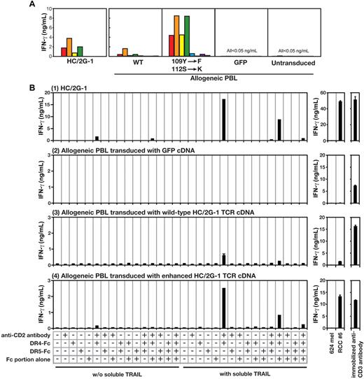 Figure 5. HC/2G-1 uses the TCR α chain CDR3 for recognizing the DR4/TRAIL complex. (A) Allogeneic T cells transduced with the genes encoding wild-type HC/2G-1 TCR (WT), HC/2G-1 TCR with doubly mutated α chain and wild-type β chain (109Y-F, 112S-K), control GFP expressing retrovirus (GFP) or nothing (Untransduced) were cocultured with a panel of tumor lines. The parental HC/2G-1 T-cell clone is also shown (HC/2G-1). Red bars indicate RCC#1; orange bars, RCC#6; yellow bars, RCC#8; green bars, RCC#10; blue bars, RCC#11; indigo-blue bars, 624mel; purple bars, 938mel; and gray bars, medium alone. (B) Plate coating was done in the same way as in Figure 4B using anti-CD2 Ab, DR4-Fc, DR5-Fc, and IgG Fc in the combinations indicated. Activation of parental HC/2G-1 cells (1), allogeneic T cells transduced with GFP cDNA (2), allogeneic T cells transduced with wild-type HC/2G-1 TCR α and β chain cDNA (3), or allogeneic T cells transduced with mutated HC/2G-1 TCR α (109Y-F, 112S-K) and wild-type HC/2G-1 TCR β chain cDNA (4) were measured at 24 hours with IFN-γ ELISA. Stimulation by 624mel and RCC#6 is shown as a specificity control and by anti-CD3 Ab as a functional control. Error bars indicate SEM. Representative data from more than 3 experiments with similar results are shown.