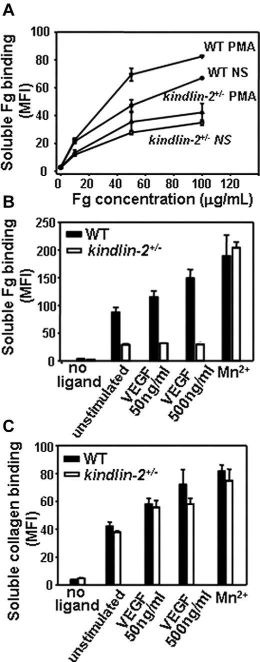 Figure 7. Comparison of integrin activation in WT and kindlin-2+/− aortic endothelial cells. (A) Dose-dependence of soluble Alexa 488–labeled Fg binding to resting or PMA-stimulated ECs. Soluble Fg binding to kindlin-2+/− ECs is decreased and independent on PMA stimulation. (B) Soluble Fg (50 μg/mL) binding to WT and kindlin-2+/− ECs in the presence of VEGF and Mn2+ ions. Fg binding to kindlin-2+/− ECs is significantly reduced and independent on VEGF stimulation. (C) Soluble FITC-collagen I (50 μg/mL) binding to WT and kindlin-2+/− ECs in the presence of VEGF and Mn2+ ions. Collagen I binding to WT and kindlin-2+/− ECs is the same in the absence or presence of VEGF. All data are means ± SEM of triplicate samples and are representative of 3 independent experiments with pooled ECs from 4-6 mice.