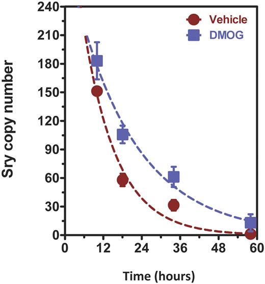Figure 6. DMOG increases BMDAC survival in ischemic limbs. Genomic DNA was isolated from ischemic and nonischemic gastrocnemius muscles of female mice subjected to unilateral femoral artery ligation. All mice were injected with 2 × 108 pfu of AdCA5 distributed equally at 4 intramuscular injection sites in the ischemic limb immediately after surgery. A total of 5 × 105 BMDACs (isolated from male mice and cultured in vehicle or DMOG) were injected intravenously 24 hours after surgery. Muscle was harvested at 8, 16, 34, and 58 hours after injection. DNA was isolated and analyzed using quantitative PCR for a Y-chromosome-specific Sry gene sequence. No signal was detected in gastrocnemius muscles from nonischemic limbs. Decay curves were constructed using a 1-phase exponential decay model with nonlinear regression. BMDAC half-life was calculated from the data, and the difference between vehicle and DMOG was statistically significant (P < .05). Two-way ANOVA showed a statistically significant overall effect of DMOG treatment on BMDAC survival (P < .01 n = 3 or 4 animals per time point). Data are mean ± SEM.
