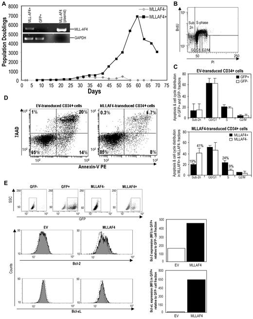 Figure 6. MLL-AF4 conveys a selective proliferation coupled to a survival advantage to CD34+ HSPCs. (A) In vitro cell growth, measured as cumulative population doublings, of purified GFP- versus MLL-AF4–expressing CD34+ HSPCs (n = 2). (Inset) RT-PCR confirming specific expression of the MLL-AF4 transcript only in the purified MLL-AF4+ CD34+ HSPCs. (B) Representative BrdU versus PI flow cytometry identifying the apoptotic (Sub-2n) cell fraction and the cells at different stages of the cell cycle: G0/G1 phase, S-phase, and G2/M phase (n = 3). (C) Apoptosis and cell cycle distribution in GFP+ (transduced) and GFP− (nontransduced) cell fractions sorted from EV-transduced CD34+ HSPCs (left panel) and MLL-AF4–transduced CD34+ HSPCs (right panel) (n = 3). (D) Representative flow cytometry panels displaying the apoptosis/cell death of EV- and MLL-AF4-transduced CD34+ HSPCs analyzed by 7-AAD and annexin-V costaining. (E) FACS mean fluorescence intensity (MFI) expression levels of the antiapoptotic proteins Bcl-2 and Bcl-xL in GFP+ cell fractions sorted from EV-transduced and MLL-AF4–transduced CD34+ HSPCs relative to GFP− cell fractions.