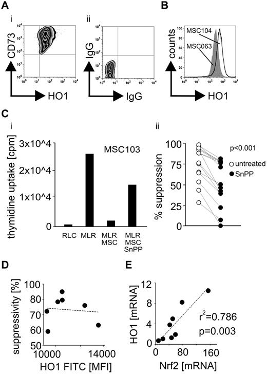 Figure 1. Human MSCs express the immunoregulatory molecule HO-1. HO-1 expression was assessed in 9 human bone marrow–derived MSCs by flow cytometry as shown in the representative (A) dot plot and (B) histogram depicting quantitatively an interindividual variability. (C) Prior MLR HO-1 was blocked in 6 different MSCs (in a minimum of 2 independent 5-day MLRs for every investigated MSC) using 50μM of the protoporphyrin SnPP. The ability of MSCs to suppress T-cell alloreactions was assessed as (i) representatively shown for MSC103 by measuring the thymidine incorporation in responder PBLs. RLC indicates responder PBLs alone. (ii) Suppression by individual untreated MSCs was compared with their SnPP-pretreated counterparts. (D) Expression levels of HO-1 in the MSCs defined as the mean fluorescence intensity (MFI) were correlated with their ability to suppress alloactivated T cells. (E) The relative basal gene expression levels (mRNA) of Nrf2 and HO-1 were correlated in the MSCs from different donors (n = 8). All experimental settings were conducted with MSCs derived from at least 3 individual donors, and n refers to the number of repeated experiments. Bar represents SD.