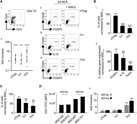 Figure 2. HO-1 is involved in the MSC-mediated induction of Tr1 and Th3 cells. (A) After an MLR for 5 days in the presence or absence of MSCs, the (v) fold increase of (i) CD3+CD4+ T cells expressing (ii) CD25+FOXP3+ (nTreg-like), (iii) CD25+IL-10+ (Tr1), and (iv) TGF-β+FOXP3+ (Th3) was assessed by flow cytometry (n = 20). (B) HO-1 in MSCs was blocked before primary MLR using 50μΜ SnPP. Subsequently, (i) frequencies of nTreg-like, Tr1, and Th3 cell subsets were determined by flow cytometry (n = 6) and (ii) gene expression of FOXP3, IL-10, and TGF-β in the retrieved lymphocytes by quantitative real-time PCR (n = 8). The Treg frequency and the gene expression levels detected in the presence of untreated MSCs (MSCuntr) represent the 100% baseline. (C) MSCs treated with 50μΜ SnPP were subjected to a 5-day coculture with purified CD4+ T cells from single healthy donors (n = 6), activated by CD2, CD3, and CD28 bead-coupled antibodies; and subsequently, frequencies of nTreg-like, Tr1, and Th3 cell subsets were determined by flow cytometry. The Treg frequency detected in the presence of untreated MSCs (MSCuntr) represents the 100% baseline. (Di) MSCs expressing high (MSC097 and MSC101) and low (MSC104 and MSC074) HO-1 levels as assessed by flow cytometry were (ii) subjected to MLR for 5 days and Treg promotion was evaluated subsequently. Results are representative for 2 independent MLRs performed with each MSC. All experimental settings were conducted with MSCs derived from at least 3 individual donors, and n refers to the number of repeated experiments. Bars represent SD. **P ≤ .01. ***P ≤ .001.