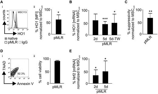 Figure 3. MSCs preconditioned by an MLR-milieu exhibit decreased HO-1 levels. (A) After 5 days of a priming MLR (pMLR) and removal of the PBLs (MSC purity ≥ 90%), (i-ii) HO-1 levels (MFI) were determined in the MSCs as shown in the representative histogram for MSC113 cells and compared with nonprimed (native) MSCs (n = 5). (B) Relative gene expression (mRNA) levels of HO-1 in the MSCs were determined after 2 and 5 days of MLR, respectively (n = 5). Equivalent experiments were carried out in regular or trans-wells (TW). (C) After 5 days of initial pMLR, the suppressive activity of the primed MSCs was evaluated compared with nonprimed (native) cells in a subsequent MLR (n = 5). (D) After 5 days of MLR, MSCs were evaluated with regard to apoptosis and necrosis by flow cytometry. As shown (i) in the representative dot plot analysis (ii) for 6 independent experiments, viable cells were defined as 7-AAD−/annexin V−. (E) Relative gene expression levels (mRNA) of Nrf2 in MSCs were determined after 2 and 5 days of MLR, respectively (n = 5). All experimental settings were conducted with MSCs derived from at least 3 individual donors, and n refers to the number of repeated experiments. Bars represent SD. *P ≤ .05. **P ≤ .01. ***P ≤ .001.