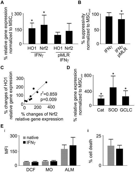 Figure 4. IFN-γ administration rescues HO-1 expression and partially the suppressive potency of MSCs. (A) Relative gene expression (mRNA) of HO-1 and Nrf2 was measured in IFN-γ-treated MSCs with or without priming MLR (n = 7). (B) After an initial pMLR for 5 days with or without IFN-γ (100 U/mL), MSCs were subjected to a secondary MLR for 5 days. Suppressive activity was measured by thymidine incorporation (in responder PBLs) and compared with nonprimed (native) cells (MSCuntr) or MSCs solely treated with 100 U/mL IFN-γ (n = 6). (C) Percentage up- or down-regulation of HO-1 and Nrf2 relative gene expression was assessed in MSCs upon priming with MLRs or IFN-γ and correlation (HO-1/Nrf2) analysis performed (n = 8). (D) Relative gene expression (mRNA) of catalase (Cat), superoxide-dismutase (SOD), and catalytic subunit of glutamylcysteine ligase (GCLC) was assessed in MSCs 5 days after IFN-γ treatment (n = 7). (Ei) MSCs were stained with 5-(and-6)-chloromethyl-2′,7′-dichlorodihydrofluorescein-diacetate-acetylester, mercury orange (MO), and ALM 5 days after IFN-γ treatment to determine intracellular oxidative stress (DCF), intracellular (PE-channel/MO) and extracellular (allophycocyanin-channel/ALM) thiols, respectively, as assessed by flow cytometry (n = 4). (ii) After 5 days of IFN-γ treatment, MSCs were subjected to treatment with 2mM H2O2 for 8 hours and subsequently analyzed regarding cell death by 7-AAD and annexin V FITC staining (n = 6). All experimental settings were conducted with MSCs derived from at least 3 individual donors, and n refers to the number of repeated experiments. Bars represent SD. *P ≤ .05.