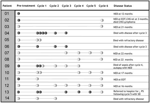 Figure 1. Serial specimens from ARL patients. Positive specimen (clonal Ig DNA detected) is indicated by ●; and negative specimen (no clonal Ig DNA detected) by ○. NED indicates no evidence of disease; EOT, end of treatment; rel, relapse; PS, performance status; and SD, stable disease.