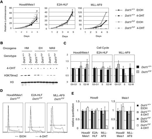 Figure 6. Dot1l excision leads to cell cycle defect in cells with MLL-AF9 oncogene and to the loss of critical downstream target gene expression. (A) Growth curve of Dot1lwt/wt;CreER+ (Dot1l+/+) or Dot1lF/F;CreER+ (Dot1lF/F) cells transduced with Hoxa9/Meis1, E2A-HLF, or MLL-AF9. Cells were grown in culture for more than 8 weeks. Cell growth was measured by CellTiter-Glow assay with either EtOH or 4-OHT treatment. MLL-AF9–transformed cells failed to grow in the absence of Dot1l, whereas Hoxa9/Meis1 and E2A-HLF transformed cells continued to grow. All values were normalized to day 1. Data are mean ± SD. (B) H3K79me2 Western blot showed loss of methylation with 4-OHT treatment in all Dot1lF/F cell lines. Whole cell lysate samples were harvested 4 days after EtOH or 4-OHT treatment. Histone 3 blot was used as loading control. (C) Quantification of cell cycle. Cells were stained with propidium iodide 4 days after EtOH or 4-OHT treatment. Values are ratio of 4-OHT treatment over EtOH treatment for respective cell lines. Dot1lF/F MLL-AF9 cell line showed increase in G0-G1 and decrease in S and G2-M phases with 4-OHT treatment. Data are mean ± SD. (D) Staining profile of propidium iodide. (E) Quantitative PCR of Hoxa9 and Meis1 expression. Samples were collected 4 days after EtOH or 4-OHT treatment. MLL-AF9 cells showed loss of Hoxa9 and Meis1 expression with Dot1l excision. Values were normalized to 5S rRNA internal control and EtOH treatment for respective cell lines. Data are mean ± SD.