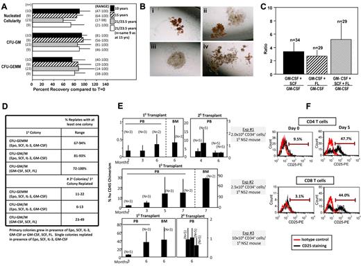 Figure 1. Recovery of nucleated cellularity, HPCs, HSCs, and immune cells after cryopreservation and long-term frozen storage of CB. (A) Comparative percent recovery of nucleated cells, CFU-GM, and CFU-GEMM compared with prefreeze numbers for 10, 15, and 21-23.5 years of the exact sample frozen. n = number of different samples thawed for analysis. Results shown as mean ± 1 SEM with range of recoveries shown in parentheses. (B) Representative examples of colonies grown from CB thawed after 21-23.5 years in frozen state: (i) CFU-GEMM colony; (ii) CFU-GEMM (left) and CFU-GM (right) colonies; (iii) CFU-GM colony; (iv) CFU-GEMM colony. A Nikon TMS microscope was used with a PLAN objective 4× and projection lens magnification of 2.5× for a total magnification of 10× at 25°C. We used 35mm film (ASA200), and pictures were made with a Nikon HFX-DX automatic 35mm camera system. (C) Ratio of CFU-GM colonies formed after stimulation of CB cells with GM-CSF plus either SCF, FL, or SCF plus FL, divided by number of colonies formed by stimulation of same cells with only GM-CSF. n = number of different CB samples analyzed from cells frozen from 21-23.5 years before thaw and analysis. (D) Replating capacity of single CFU-GEMM or CFU-GM plus CFU-M (macrophage) colonies recovered from thawed CB cells stored frozen for up to 21 years. Results shown are from a total of over 1000 separately replated colonies each, and designated percent of secondary plates with at least 1 colony (% replates = top) and range of colonies in secondary dish per single replated colony (= bottom). (E) Analysis of engrafting capacity in sublethally irradiated NOD-SCID IL-2 receptor γ chain null (NSG) mice of cells (≥ 90% CD34+) purified from unseparated CB stored frozen for 18-21 years before thawing. Each experiment shows chimerism data from a different frozen CB unit. Analysis of human CD45+chimerism in peripheral blood (PB) or bone marrow (CB) of primary (1°) mouse recipients with N = number of mice per group, or CD45+ cell chimerism in secondary (2°) recipients of the same mouse strain given the same sublethal irradiation dose. For 2° recipients, each bar represents the number of secondary recipients per pooled BM of 1° recipient mice (experiments 1 and 2 only). Results are given as mean ± 1 SEM. (F) Response of CD4+ and CD8+ T lymphocytes, (≥ 98% Pure) isolated from thawed unseparated CB cells stored frozen for 21 years, as assessed by flow cytometry, to anti-CD3/CD28 stimulation, as determined by induced expression of CD25, a T-cell activation antigen. Shown are experiments from 1 of 2 experiments in which different frozen CB units were assessed.