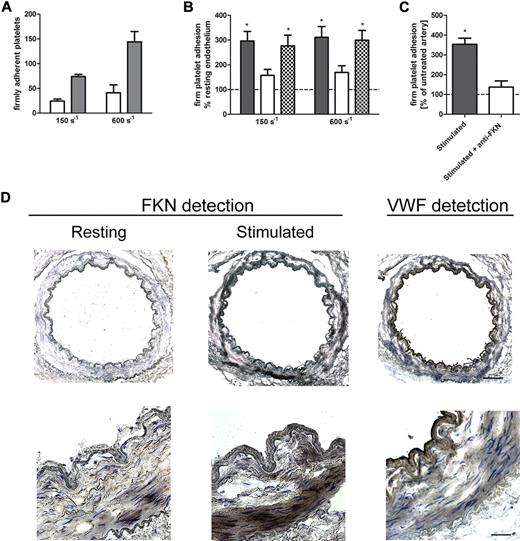 Figure 7. Adhesion of platelets to arterial endothelial cells under physiologic flow conditions. (A) Arterial endothelial cells were allowed to grow to confluence in μ-slides and stimulated (closed bars) or not (open bars) with TNF-α and IFN-γ for 20 hours. Human blood platelets in reconstituted blood were perfused at the indicated wall shear rate as described in Figure 1. The experiment was performed 3 times, and results presented here are derived from one representative experiment and are presented as mean ± SEM for that experiment performed in pentaplicate. (B) Endothelial cells were preincubated with vehicle alone (closed bars), a neutralizing anti-FKN antibody (open bars), or isotype-matched control (hatched bars) as indicated for 2 hours before perfusion initiation. Shown is the percentage of platelets adhering to stimulated endothelial cells at the indicated shear rate as percentage of the number of platelets adhering to resting endothelial cells with the respective treatments (dotted line). The results are the mean ± SEM of 3 independent experiments with blood from different donors.*P < .05 in one sample t test versus 100%, which represents the adhesion rate of platelets to resting endothelial cells. (C) Adhesion of platelets to the endothelium of intact human arteries. Blood was perfused at a wall shear rate of 600 s−1 over human artery, and the number of adherent platelets after 15-minute perfusion was recorded. Platelet adhesion rates to unstimulated arteries were set to 100% (dotted line). Shown are the relative adhesion rates to TNF-α- and IFN-γ-stimulated arteries with and without a neutralizing anti-FKN mAb. The results are the mean ± SEM of 3 independent experiments with blood and arteries from different donors.*P < .05 in one sample t test versus 100%, which represents the adhesion rate of platelets to resting arteries. (D) Immunohistochemical detection of FKN in sections of human internal mammary arteries. Representative photomicrographs of the endothelium immunostained for FKN (brown staining) in resting (left panel) and TNF-α- and IFN-γ-stimulated (middle panel) artery segments, counterstained blue with hematoxylin. Also shown is immunohistochemical detection of VWF (right panel). Bar represents 200 μm in the upper row and 50 μm in the lower row. Images were recorded with a Zeiss AxioObserver Z1 using a 5×/0.16 NA (top row) and a 20×/0.8 NA objective (bottom row) with an AxioCam MR3 camera (Zeiss) and processed in AxioVision LE 4.8.2.0 and ImageJ 1.45d software.