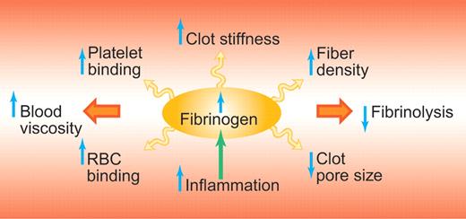 Potential mechanisms by which the risk for thrombosis is increased with elevated fibrinogen. Elevated fibrinogen levels, which are part of the inflammatory response, lead to increases in clot stiffness, increased resistance of the clot to fibrinolysis and increased blood viscosity. RBC indicates red blood cell. Professional illustration by Paulette Dennis.