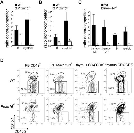 Figure 4. Function of Prdm16-deficient HSPCs. (A-C) Ratio between donor (300 Prdm16−/− or wt FL LSK cells (n = 4) (A), 500 Prdm16+/− or wt adult BM LSK cells (n = 9) (B), or 300 Prdm6+/− or wt adult BM LSKCD34−Flt3− cells (n = 4) (C) and competitor (0.5 × 106 T cell-depleted CD45.1+ or CD45.1+CD45.2+ B6 BM cells) cells among PB myeloid and B cells, and (C) thymic CD4+CD8+ double-positive and CD4−CD8− double-negative developing T cells, 10 to 15 weeks after transplantation into lethally irradiated B6.129F1 (CD45.2+) mice. *P < .01. (D) Representative example of donor (CD45.2+) and competitor (CD45.1+CD45.2+) reconstitution in doublet discriminated PB CD19+ B and Mac1+Gr1+ myeloid cells, and in thymic CD4−CD8− double-negative and CD4+CD8+ double-positive cells after competitive transplantation with wt or Prdm16+/− adult BM LT-HSCs.