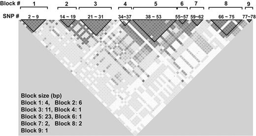 Figure 3. VWF haplotypes constructed using the Haploview program. The haplotypes were constructed using the default setting that (1) ignores pairwise comparisons of markers more than 500 kb apart, (2) excludes persons with more than 50% of missing genotypes, (3) examines haplotypes found 1% or more in the population, (4) removes markers with Hardy-Weinberg disequilibrium, and (5) uses R2 to define haplotype blocks. The majority of them are found in 9 LD blocks that distributed throughout the entire VWF gene.