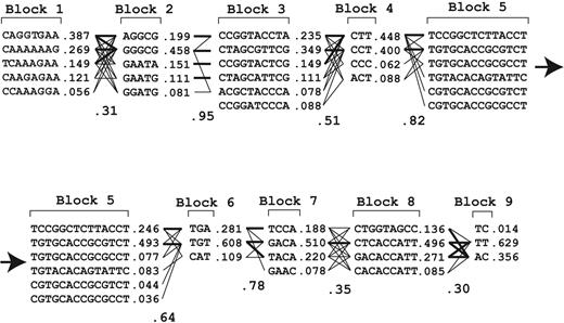 Figure 4. Frequencies of VWF haplotypes constructed with the Haploview program. The interactions between haplotypes in adjacent LD blocks are indicated.