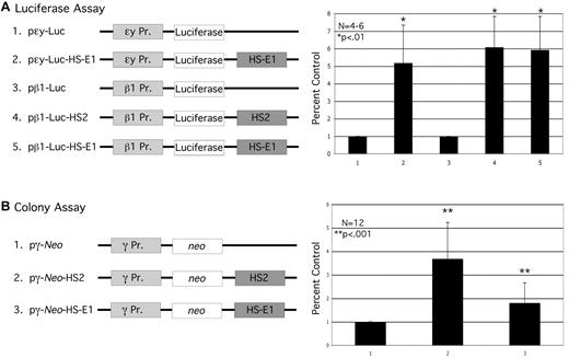Figure 2. Assays for enhancer function of HS-E1. (A) Transient reporter assay. Reporter constructs used in the transient assay are illustrated at the left. The bar graph shows relative levels of luciferase activity measured using the indicated constructs. (B) Colony assay. The selectable marker constructs used in the colony assay are illustrated to the left. The bar graph shows colony numbers obtained using the indicated constructs, with the average colony number for pγneo normalized to 1.0. Each bar in the graph represents the average of 12 replicates of the experiment. All error bars represent standard error of the mean.