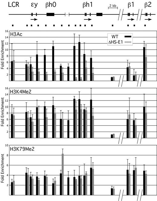 Figure 4. Effect of deletion of HS-E1 on domain-wide histone modifications. A schematic of the murine β-globin locus is shown at the top, to scale but with the indicated discontinuities. The bracketed region between the ϵy-globin and βh1-globin genes shows the location of the HS-E1 deletion. Black bars beneath the locus correspond to the positions of amplimers used for ChIP analysis, and the corresponding ChIP data are shown directly below each amplimer in the bar graphs. Values in the bar graphs represent enrichments observed for the indicated histone modifications relative to inactive control loci, as measured in E12.5 primitive erythroid cells from wild-type mice (black) or from mice homozygous for the deletion of HS-E1 (gray). Note that one amplimer lies within the deleted region.