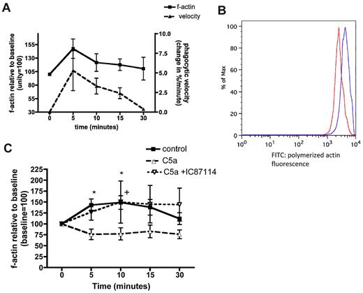 Figure 2. The polymerization of actin in response to zymosan. (A) Change in polymerized filamentous (f) actin over time following exposure of neutrophils to zymosan, compared with the time course of phagocytosis. Data shown as mean values from n = 3 healthy donors. (B) Representative histograms illustrating the shift in geometric mean fluorescence before (red) and after (blue) exposure of cells to zymosan, indicating actin polymerization. (C) Change in polymerized f-actin over time in neutrophils treated with vehicle control (■―), rhC5a (▾), or IC87114 followed by rhC5a (▵), then exposed to opsonized zymosan. Data shown as mean and SEM, P < .0001 for difference between treatment groups by 2-way ANOVA, *P < .05 between control and C5a treatment, +P < .05 between C5a + IC87114 and C5a treatment by Bonferroni posthoc test (n = 8 healthy donors).