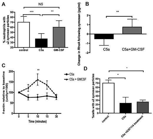 Figure 3. GM-CSF reverses the defects in phagocytosis induced by rhC5a. (A) Addition of GM-CSF restores effective phagocytosis of opsonized zymosan in neutrophils exposed to C5a. P < .0001 by Kruskal-Wallis; **P < .01, ***P < .001 by Dunn posthoc test. Data are displayed as median and interquartile range (n = 10 healthy donors). (B) Addition of GM-CSF restores RhoA activation in neutrophils treated with rhC5a and exposed to opsonized zymosan. **P = .007 by Mann-Whitney U test. Data are displayed as median and interquartile range (n = 10 healthy donors). Note: C5a data are the same as those presented in Figure 1A, and the GM-CSF data are shown separately for reasons of clarity—separation does not alter the statistical significance of the differences noted. (C) Addition of GM-CSF restores actin polymerization in neutrophils treated with rhC5a and exposed to opsonized zymosan. P = .0001 for differences between treatments by 2-way ANOVA, **P < .01 by Bonferroni posthoc test for differences between treatments. Data are shown as mean and SEM (n = 8 healthy donors). (D) Addition of PI3Kδ inhibitor IC87114 after 30 minutes of treatment with C5a fails to resurrect phagocytosis. P = .009 by Kruskal-Wallis, *P < .05 by Dunn posthoc test. Data are displayed as median and interquartile range (n = 5 healthy donors).