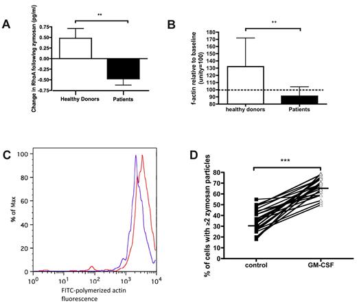 Figure 6. Neutrophils from critically ill patients show similarities to healthy neutrophils that have been exposed to rhC5a. (A) RhoA activation in response to zymosan is impaired in patient neutrophils. **P = .002 by Mann-Whitney U test. Data are shown as median and interquartile range (n = 20: 10 patients and 10 healthy volunteers). (B) Actin polymerization following 5 minutes of zymosan exposure is impaired in patients. **P = .006 by t test. Data are shown as mean and SEM (n = 15: 10 patients and 5 healthy volunteers). (C) Representative histograms illustrating the shift in geometric mean fluorescence before (red) and after (blue) exposure of cells to zymosan; note the contrast with Figure 2B. (D) GM-CSF restores phagocytosis in patients' neutrophils. ***P < .001 by Wilcoxon rank sum test. Solid lines indicate median values (n = 24 patients).