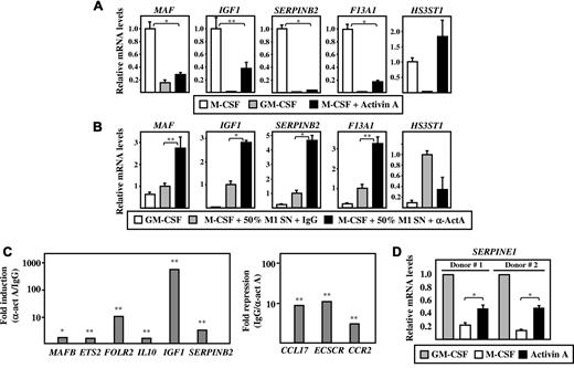 Figure 4. Effect of activin A on the acquisition of M1- and M2-specific markers. (A) MAF, IGF1, SERPINB2, F13A1, and HS3ST1 mRNA expression levels determined by qRT-PCR on macrophages differentiated for 7 days in M-CSF, GM-CSF, or M-CSF plus activin A (10 ng/mL). (B) MAF, IGF1, SERPINB2, F13A1, and HS3ST1 mRNA expression levels determined by qRT-PCR on macrophages differentiated for 7 days in GM-CSF or M-CSF plus GM-CSF–free M1-conditioned medium together with either a blocking anti–activin A antibody (M-CSF + 50% M1 SN + α-ActA) or an isotype-matched antibody (M-CSF + 50% M1 SN + IgG). (C) Expression of the indicated genes in M1 macrophages generated in the presence of a blocking anti–activin A antibody (100 ng/mL) and relative to their expression in M1 macrophages generated in the presence of an isotype-matched antibody (IgG) determined by qRT-PCR using microfluidic cards. The experiment was performed in triplicate and data are presented on a log scale; *P < .005; **P < .05. The left panel shows the expression of M2 (M-CSF)–specific markers, and these results as expressed relative to the level of expression of each gene in the presence of the isotype-matched antibody (Fold induction α-ActA/IgG). The right panel shows the expression of M1 (GM-CSF)–specific markers and these results are expressed relative to the level of expression of each gene in the presence of the anti–activin A antibody (Fold repression, IgG/α-ActA). (D) SERPINE1 mRNA expression levels determined by qRT-PCR on macrophages from 2 independent donors and treated for 7 days with M-CSF, GM-CSF, or activin A. Results are expressed as relative mRNA levels (relative to GAPDH RNA levels) and refer to the expression level observed in the presence of M-CSF (A), M-CSF + 50% M1 SN + IgG (B), or GM-CSF (D). The means and SD of triplicate determinations are shown; *P < .005; **P < .05.