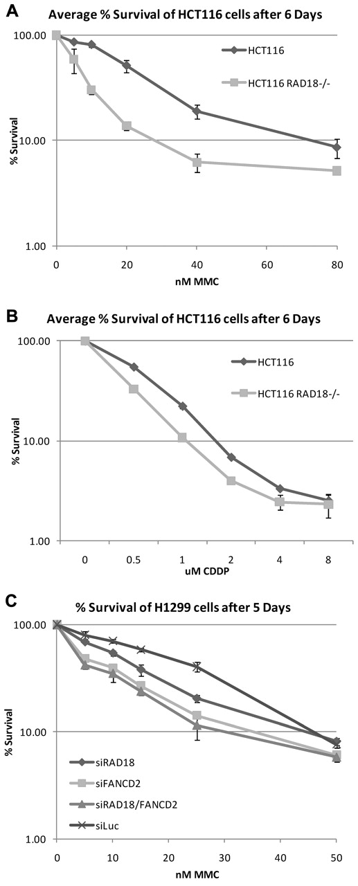 Figure 3. RAD18-deficient cells are hypersensitive to DNA cross-linking agents. (A-B) RAD18-deficient and wild-type cells were plated into 6-well plates, treated with increasing amounts of MMC (A) or cisplatin (B), and allowed to grow for 6 days. Crystal violet survival assays show that RAD18-deficient cells are hypersensitive to both MMC and cisplatin. (C) RAD18, FANCD2, luciferase, or RAD18 and FANCD2 were depleted from H1299 cells by siRNA transfection and plated for cell survival assays. Single knockdown of RAD18 or FANCD2 results in hypersensitivity to MMC, whereas double knockdown of RAD18 and FANCD2 reveals an epistatic relationship.