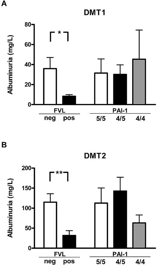 Figure 4. FVL heterozygosity ameliorates diabetic nephropathy in diabetic patients. Average albuminuria in diabetic patients with either type 1 (DMT1; A) or type 2 (DMT2; B) diabetes mellitus stratified according to the genetic FVL or PAI-1 4G/5G polymorphisms. Average albuminuria was lower in patients carrying the FVL mutation (FVL pos) than in patients not carrying the FVL mutation (FVL neg), but did not differ in patients stratified according to the PAI-1 polymorphism. Means ± SEM are shown; *P < .05; **P < .01 (ANOVA).