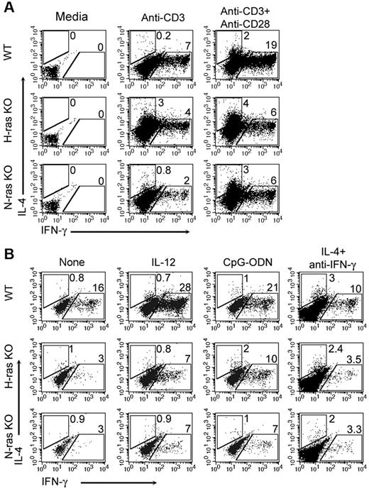 Figure 3. H-ras and N-ras deficiency impair TCR-induced IFN-γ expression in CD4+ T cells. (A) Splenic T cells from mice of the indicated genotype were stimulated without or with anti-CD3 or anti-CD3 plus anti-CD28 mAb during 48 hours for analysis of intracellular IFN-γ and IL-4 expression in gated CD4+ T cells. Numbers within dot plots indicate percentage of cells in the gated regions. (B) Splenic T cells from mice of the indicated genotype were stimulated for 48 hours with anti-CD3 plus anti-CD28 in the absence or presence of either IL-12 (1 ng/mL), CpG-ODN (25 μg/mL), or IL-4 (100 ng/mL) plus anti–IFN-γ antibody (3 μg/mL) and analyzed for intracellular IFN-γ and IL-4 expression in gated CD4+ T cells by flow cytometry. Numbers within dot plots indicate percentage of cells in the gated regions.