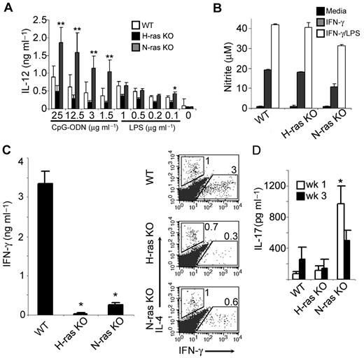 Figure 6. Unimpaired DC and macrophage function but defective Th1 differentiation in vivo in mice lacking H-ras or N-ras. (A) IL-12 production by LPS- or CpG-ODN–stimulated (48 hours) BM-derived DCs from WT, H-ras–, and N-ras–deficient mice (mean ± SD of duplicate cultures and 2 mice per group), as determined by ELISA (*P < .005 and **P < .001 vs WT). (B) BM-derived macrophages from mice of the indicated genotype were stimulated for 24 hours without or with IFN-γ (100 U/mL) or IFN-γ plus LPS (2 μg/mL), followed by assessment of NO production measured as nitrite (mean ± SD of duplicate cultures and 2 mice per group). (C) Draining LN cells (5 × 105) from L major–infected (week 3 after infection) mice of the indicated genotype were cultured with 1 × 105 WT DCs presenting SLA (12 μg/mL). Cytokine production was determined after 24 hours by intracellular cytokine staining in gated CD4+ T cells (right) or after 48 hours by ELISA (left; mean ± SD of duplicate cultures and 2 mice per group; *P < .03 vs WT). Numbers within dot plots indicate percent cells in the gated regions. (D) IL-17 response to SLA of draining LN cells from infected (weeks 1 and 3 after infection) mice, as measured by fluorescent bead assay (mean ± SD of 2 mice per group; *P < .05 vs WT).