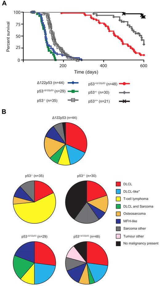 Figure 5. The Δ122p53 allele is associated with a reduced life span and altered tumor spectrum compared with the p53 null allele. (A) Mice of various genotypes were observed for 600 days and Kaplan-Meier curves plotted. (B) Relative frequencies of tumors identified by histopathologic examination are displayed as pie charts. n = cohort size − mice censored because of postnatal exencephaly.