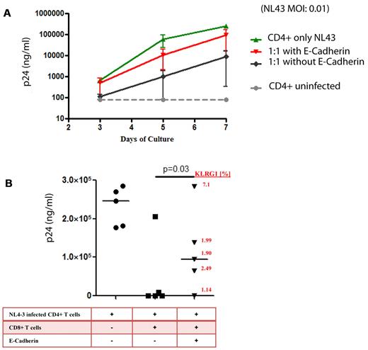 Figure 6. E-cadherin reduces inhibition of HIV-1 replication by virus-specific CD8+ T cells. We choose subjects with known strong CD8+ T-cell responses to assess the effect of sE-cadherin on their inhibitory capacity. Bulk CD8 T cells directly isolated from peripheral blood by positive selection suppressed R5 replication in autologous CD4 T cells at a 1:1 ratio of CD8 to CD4 T cells. (A) The typical viral growth curve of NL4-3–infected CD4+ T cells in all cultures (green). The addition of autologous bulk CD8+ T cells lead to robust > 2 log viral inhibition. However, the addition of recombinant E-cadherin to the culture lead to an almost complete abrogation of the inhibitory effect of CD8+ T cells and the viral outgrowth being similar to viral outgrowth in absence of CD8+ T cells. (B) The effect of viral inhibition of bulk CD8+ T cells in the presence or absence of soluble E-cadherin in 5 different elite controllers is summarized. Viral replication was on average 232 072 ± 50 288 p24 pg/mL in the absence of CD8+ T cells, but abrogated to on average 42 903 ± 90 868 p24 pg/mL in the presence of bulk CD8+ T cells. However, the addition of sE-cadherin diminished the inhibitory effect of CD8+ T cells to 106 028 ± 115 919 p24 pg/mL. The strength of this effect was in relation to the expression of KLRG1 on the cell surface of CD8+ T cells after the resting period (red numbers). The horizontal line at each variable indicate the mean.