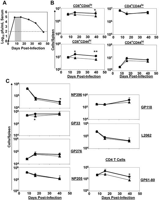 Figure 1. Effect of IL-7 treatment during early contraction phase on the CD8 T-cell response. Cohorts of LCMV-Clone 13–infected mice were treated daily with either IL-7 or PBS between days 8 and 15 PI, as depicted by the shaded area (A). At days 8 (before IL-7 therapy), 16 (1 day after completion of therapy), and 40 (25 days after cessation of IL-7 therapy) PI, the numbers of naive (CD44lo) and activated (CD44hi) CD8 or CD4 T cells (B) and LCMV epitope-specific, IFNγ-producing CD8 or CD4 T cells (C) in IL-7- (●) or PBS (▴)-treated mice were quantified by flow cytometry. Data for each time point were obtained from 4-5 mice per group. *P ≤ .05; **P ≤ .005.