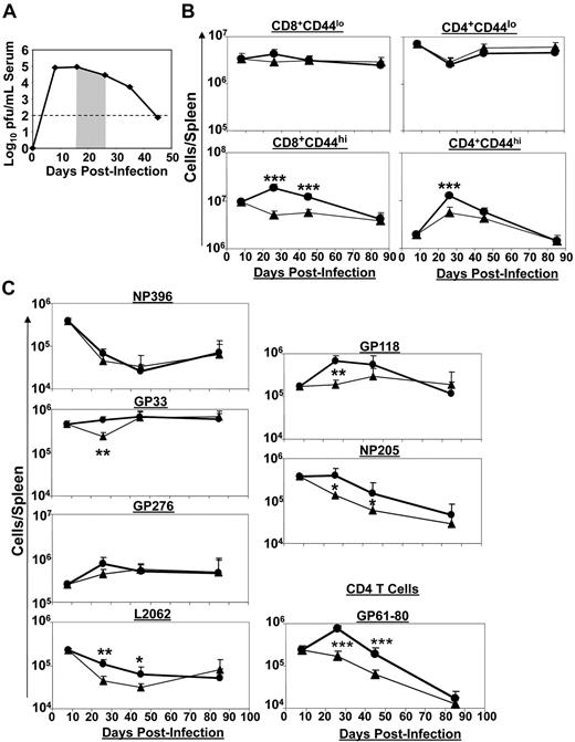 Figure 2. IL-7 therapy during the late contraction phase augments LCMV-specific T-cell responses. LCMV-Clone 13–infected mice were treated daily with either IL-7 or PBS between days 15 and 25 PI, as illustrated by the shaded area (A). At days 8, 26 (1 day after cessation of therapy), 45 (20 days after completion of IL-7 therapy), and 85 (60 days after IL-7 therapy) PI, CD8 and CD4 T-cell responses in the spleens of IL-7 (●)– or PBS (▴)–treated mice were quantified by flow cytometry. (B) The numbers of naive and activated CD8 or CD4 T cells. (C) LCMV epitope-specific CD8/CD4 T cells were quantified by intracellular staining for IFNγ. Data for each time point was obtained from 4-5 mice per group. *P ≤ .05; **P ≤ .005; ***P ≤ .001.