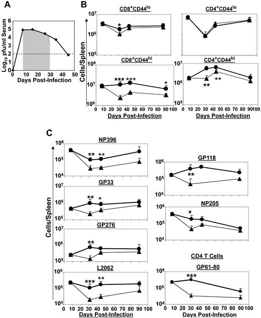 Figure 3. Extended duration of IL-7 therapy during clonal contraction enhances the LCMV-specific T-cell response. Cohorts of LCMV-Clone 13–infected mice were treated daily with either IL-7 or PBS between days 8 and 30 PI, as illustrated by the shaded area (A). At days 8, 31, 44, and 90 PI, LCMV-specific CD8 and CD4 T-cell responses were quantified by flow cytometry. (B) The kinetics of naive and activated CD8 or CD4 T cells in IL-7– and PBS–treated mice. (C) LCMV epitope-specific CD8 and CD4 T cells were quantified by staining for intracellular IFNγ. Data for each time point was obtained from an analysis of 4-5 IL-7 (●)– or PBS (▴)–treated mice and are representative of 2 experiments. *P ≤ .05; **P ≤ .005; ***P ≤ .001.