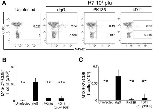Figure 5. Ly49G2+ NK cells key to priming MCMV-specific CD8 T-cell response. (A) Representative dot plots showing the proportion of M45-Db–specific CD8 T cells in spleens of uninfected R7, infected R7 treated with control rat IgG, infected R7 depleted of NK cells (PK136) and infected R7 depleted of Ly49G2+ NK cells (4D11). The dot plots were gated on CD19−, CD3+ cells. (B) The graph represents the mean ± SEM for live gated M45-Db–specific CD8 T cells in uninfected and infected R7 animals given the indicated treatments. (C) The graph represents the mean ± SEM for live gated M139-Kb–specific CD8 T cells in uninfected and infected R7 animals given the indicated treatments. The data are representative of 4 experiments with 3-4 mice per treatment group (**P < .005, ***P < .0005 by Student t test compared with rat IgG treated).