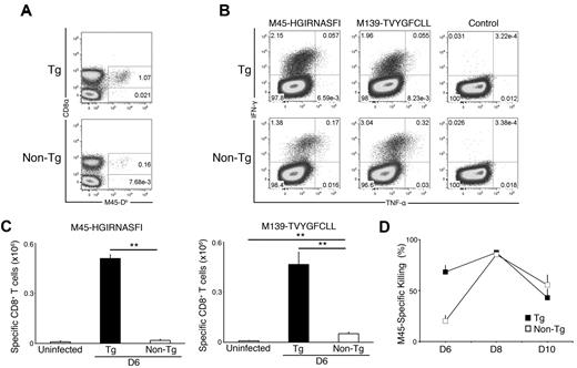 Figure 6. MHC I Dk NK-cell virus resistance defines MCMV-specific CD8 T-cell effector response. Tg-Dk and non-Tg splenocytes were stained for flow cytometric analysis as described in Figure 3. (A) Representative dot plots showing the proportion of M45-Db–specific CD8 T cells in day 6–infected spleens. The dot plots were gated on CD19−, CD3+ cells. Data are representative of 4 experiments with 4 mice per strain per time point. (B) Representative dot plots showing the proportion of cytokine responsive CD8 T cells after peptide restimulation of splenocytes. The dot plots were gated on CD19−, CD3+, CD8+ cells. (C) The graph represents the mean ± SEM for cytokine producing M45-Db– and M139-Kb–specific CD8 T cells in uninfected and day 6–infected Tg-Dk and non-Tg spleens. Data are representative of 2 experiments with 4 mice per strain per time point (**P < .0005 by Student t test). (D) A 4-hour in vivo CTL assay was performed with M45 peptide-pulsed and unpulsed control targets. The graph represents the mean ± SEM for in vivo virus-specific CTL activity at the indicated times after infection. Virus-specific CTL activity in spleen was significantly enhanced in Tg-Dk compared with non-Tg on day 6 postinfection (P < .01). Data are representative of 2 experiments with 4 mice per strain per time point.