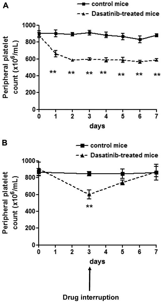 Figure 1. Dasatinib induces reversible thrombocytopenia in mice. (A) Whole-blood platelet count from control mice (solid line) and dasatinib-treated (5 mg/kg/d) mice (dashed line) were monitored every day for 7 days. Error bars represent SEM; **P < .01; n = 5 for each time point. (B) Whole-blood platelet count from control mice (solid line) and dasatinib-treated (5 mg/kg/d) mice (dashed line) were monitored 2 and 4 days after interruption of the drug. Error bars represent SEM; **P < .01; n = 3 for each time point.