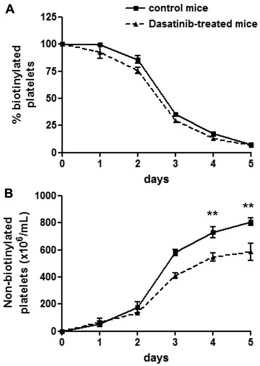 Figure 2. Dasatinib-treated mice exhibit a normal platelet life span. Control mice (solid line) and dasatinib-treated (5 mg/kg/d) mice (dashed line) were intravenously injected with biotin-NHS on day 0 and the percentage of biotinylated platelets was determined at the indicated times by flow cytometry (A). Relating this value to the determined platelet count yielded the number of nonbiotinylated platelets (B). Error bars represent SEM; **P < .01; n = 5 for each time point.