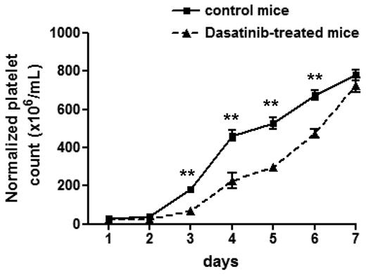 Figure 3. Dasatinib-treated mice exhibit a delay in platelet recovery after immune-induced thrombocytopenia. Whole-blood platelet count from control mice (solid line) and dasatinib-treated (5 mg/kg/d) mice (dashed line) were obtained, and then thrombocytopenia was induced by an intraperitoneal injection of anti–mouse GPIbα antibody (2 μg/g body weight). Platelet counts were then measured at the indicated times after injection. Error bars represent SEM; **P < .01; n = 5 for each time point.