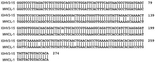 Figure 1. Sequence alignment demonstrating homology between IgVH3–15 and the heavy chain genes of MWCL-1 cells and the primary tumor. PCR-amplified DNA was prepared and sequenced as discussed in “Sequence analysis of IGHV.” The sequence was compared with germline configurations using IMGT/V-QUEST software Version 3.2.17 on the IMGT website (www.imgt.cines.fr/IMGT_vquest/share/textes). Identical VH sequences were obtained for both MWCL-1 cells and the primary tumor, but this common sequence is only referred to as MWCL-1 in the figure.