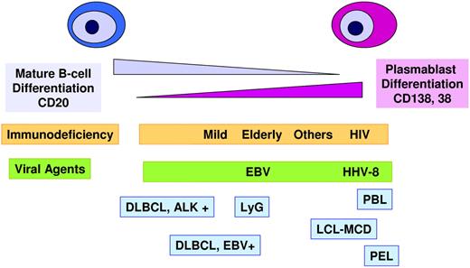 Figure 1. Large B-cell lymphomas with a phenotype of terminal B-cell differentiation. This group of tumors is characterized by a down-regulation of the mature B-cell differentiation program and expression of plasma cell markers. Most of these tumors appear in immunocompromised patients. The tumor cells are often infected by EBV, human herpesvirus 8 (HHV8), or both. ALK+ large B-cell lymphoma (LBCL) occurs in immunocompetent patients and is not virally transformed. LyG indicates lymphomatoid granulomatosis; DLBCL, diffuse large B-cell lymphoma; PBL, plasmablastic lymphoma; PEL, primary effusion lymphoma; LBCL-MCD, large B-cell lymphoma arising in HHV8-associated multicentric Castleman disease.