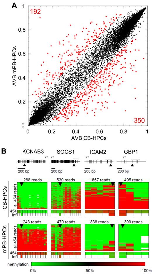 Figure 5. Analysis of age-dependent methylation patterns in HPCs. (A) Comparison of DNA methylation profiles of CB-HPCs and mPB-HPCs. Red dots indicate differentially methylated sites. (B) Validation of selected markers by 454 bisulfite sequencing. PCR amplification was performed on equimolar sample pools, and sequencing results are shown as in Figure 3D. Sequencing coverage ranged from 243 to 1657 reads, as indicated. Triangles indicate CpG dinucleotides that were interrogated on the array.
