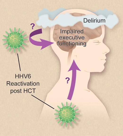 Zerr et al show that HHV-6 reactivation post-HCT is associated with increased risk of delirium and neurocognitive decline, marked by selective impairment of executive functioning with relative sparing of memory and fine motor skills.1 Still unresolved is the question of whether HHV-6 reactivates locally within the CNS as well as in the periphery, and whether virus reactivation within the CNS is required for viral effects on cognitive function. Professional illustration by Debra Dartez.