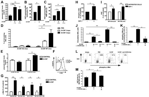Figure 1. HGF and c-Met are up-regulated by G-CSF in a CXCR4/SDF-1–dependent manner. (A) Plasma HGF levels, evaluated by ELISA, in mice that received 1 injection of G-CSF and were killed 24 hours afterward or in mice receiving 5 consecutive injections of G-CSF. (B) Mice were given G-CSF for 5 consecutive days. HGF intracellular levels were determined in BM leukocytes by FACS analysis. (C) Intracellular HGF levels in BM PMN cells of control mice or mice receiving 3 or 5 consecutive injections of G-CSF were determined by FACS analysis. (D) G-CSF knockout (KO) mice or wild-type (WT) counterparts were injected with PBS or with 3 or 5 consecutive daily injections of G-CSF. The levels of circulating SKL cells were determined. (E) Plasma HGF levels in G-CSF KO and WT mice receiving PBS or 5 consecutive injections of G-CSF were determined by ELISA. (F) Cell-surface c-Met levels were quantified by FACS analysis. Representative c-Met expression on total BM cells of control (b) or 5 days of G-CSF in treated mice (c), together with control secondary staining (a) is shown. (G) A summary of 4 independent experiments showing membrane c-Met expression on BM cells, PMN cells, BM c-kit+/Lin− cells, or SKL/CD34− cells. (H-I) BM cells were left untreated or treated in vitro with SDF-1. c-Met activation (H) and intracellular HGF expression (I) were measured. (J) Circulating SKL cells in control mice or mice receiving 3 or 5 injections of G-CSF alone, or together with anti CXCR4 neutralizing Abs on the last 2 days of G-CSF treatment. (K) Percentage of phospho–c-Met on SKL cells in the PB of control mice, mice treated with 5 injections of G-CSF alone, or with anti-CXCR4 neutralizing Abs on days 4 and 5 of G-CSF treatment. (L) Representative FACS analysis showing the percentage of phospho–c-Met expression on circulating SKL cells. Percentages indicate the frequency of phospho c-Met–positive cells. (M) HGF levels in BM PMN cells from control mice or mice receiving 3 injections of G-CSF alone, or with anti-CXCR4 neutralizing Abs on days 2 and 3 of G-CSF treatment. Indicated values are presented as mean ± SE in ≥ 3 independent experiments, 6 mice in each group. *P < .05; **P < .001. SSC indicates side scatter.