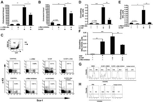 Figure 2. c-Met inhibition impairs progenitor cell mobilization. (A) Mice were injected with anti–c-Met Abs, 5 consecutive injections of G-CSF or anti–c-Met on days 4 and 5 of G-CSF administration. The frequency of circulating progenitor cells was analyzed. (B) Numbers of circulating progenitors in mice injected with vehicle, PHA, 5 consecutive doses of G-CSF with vehicle, or c-Met inhibitor. (C) A representative FACS analysis showing, in the upper lane, the percentage of circulating SKL cells in control mice or mice receiving c-Met Abs, or G-CSF alone or together with c-Met Abs. The lower lane depicts the percentage of SKL in the blood of mice injected with vehicle or c-Met inhibitor or G-CSF with vehicle or c-Met inhibitor. (D-E) A summary of ≥ 3 independent experiments showing the percentage of circulating SKL cells (D) in mice that were given anti–c-Met Abs, or G-CSF alone or G-CSF in combination with anti c-met Abs or (E) in mice that were injected with vehicle or with c-Met inhibitor, or G-CSF together with vehicle or c-Met inhibitor. (F) Percentage of circulating SKL/CD34− cells in mice that were injected with vehicle, HGF, G-CSF together with vehicle, or c-Met inhibitor. In all the experiments, mobilization was evaluated after 3-5 hours after the last injection. (G) Representative FACS plot showing the percentage of CD34− cells within the SKL population in the circulation of mice treated with DMSO, G-CSF and vehicle, or G-CSF and c-Met inhibitor. (H) Representative FACS plot showing the percentage of CD34− cells within the SKL population in the circulation of mice treated with PBS or HGF. In all the experiments, mobilization was evaluated after 3-5 hours from the last injection. Indicated values are presented as mean ± SE in ≥ 3 independent experiments, 6 mice in each group. *P < .05; **P < .001.