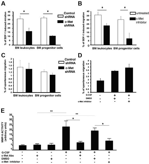 Figure 3. c-Met promotes chemotaxis toward a SDF-1 gradient. (A,C) BM cells from G-CSF–treated mice were transduced with lentiviral vectors expressing a c-Met shRNA or a nonfunctional control shRNA and subsequently subjected to a chemotaxis assay through Matrigel-coated filters. (A) SDF-1–induced migration or (C) spontaneous migration of BM leukocytes or progenitor cells are shown. (B,D) BM cells taken from mice injected with G-CSF; cells were preincubated with c-Met inhibitor and then subjected to a chemotaxis assay through Matrigel-coated filters. (B) SDF-1–induced migration or (D) spontaneous migration of BM leukocytes or progenitor cells are shown. (E) MMP-9 activity in the BM of mice receiving c-Met Abs, DMSO, or 5 injections of G-CSF with or without anti–c-Met Abs on days 4 and 5 of G-CSF treatment or mice that received 5 injections of G-CSF with vehicle or c-Met inhibitor. Gelatin zymography has been performed on BM supernatants. The data are expressed as mean ± SE in 3 independent experiments *P < .05, **P < .001.