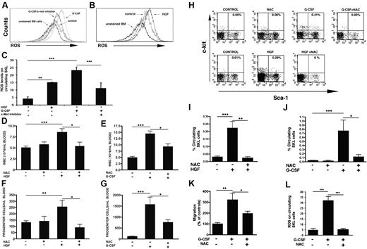 Figure 4. c-Met regulates progenitor cell egress by ROS generation. (A) A representative FACS plot showing ROS levels on BM SKL cells of mice receiving vehicle or G-CSF with vehicle or c-Met inhibitor. (B) A representative FACS analysis of ROS levels on BM SKL of control mice or mice injected for 2 consecutive days with HGF. (C) ROS levels in circulating SKL cells in mice receiving 2 injections of HGF or 5 consecutive injections of G-CSF together with DMSO or c-Met inhibitor. (D) Circulating leukocytes in mice receiving 2 consecutive injections of NAC, HGF alone, or together with NAC or (E) in mice injected for 5 days with G-CSF alone or NAC on days 4 and 5 of G-CSF treatment. (F-G) Colony-forming progenitor cells in the blood of mice that were given NAC, HGF, HGF together with NAC (F) or G-CSF alone or in combination with NAC (G). (H) A representative FACS analysis of circulating SKL cells in mice injected with NAC, G-CSF alone or with NAC, or HGF alone or in association to NAC. (I) A summary of circulating SKL in mice receiving HGF alone or in combination with NAC. (J) A summary of SKL in the circulation of mice receiving NAC, G-CSF, or G-CSF and NAC. (K) SDF-1 induced migration of BM cells derived from control mice or mice treated with G-CSF alone or in combination with NAC. (L) ROS levels in circulating SKL cells in mice receiving 5 daily injections of G-CSF alone or in combination with 2 consecutive injections of NAC. Indicated values represent the mean ± SE in ≥ 3 independent experiments, 6 mice in each group. **P < .001; *P < .05.