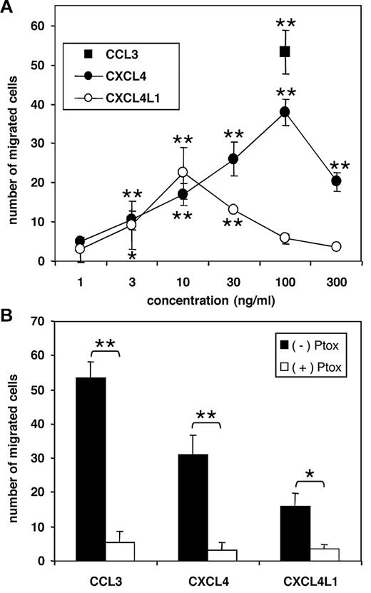 Figure 6. Chemotactic activity of PF-4 variants for immature DCs. CXCL4L1 and CXCL4 were tested for their ability to induce chemotaxis of human immature DCs derived from peripheral blood in the Boyden microchamber (A). * (P < .05) indicates statistically significant migration toward chemokine (Mann Whitney test). The chemotactic response of CXCL4 (100 ng/mL), CXCL4L1 (100 ng/mL), and CCL3 (100 ng/mL) was reduced after treatment with 3 μg/mL pertussis toxin (Ptox; B) as determined by the Mann Whitney test (*P < .05; **P < .005). Results represent the mean ± SD of migrated cells of 4 (A) or 3 (B) independent experiments.
