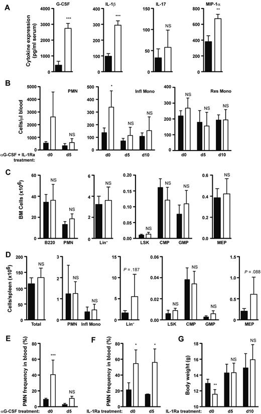 Figure 5. Neutrophilia in c-FLIPf/f LysM-Cre mice is G-CSF–dependent. (A) Expression of G-CSF, IL-1β, IL-17, and MIP-1α in serum of 4-week-old c-FLIPf/f (black bars) or c-FLIPf/f LysM-Cre (white bars) mice as determined by multiplex cytokine assay. Data presented were obtained in a single experiment, and are representative of 2 independent experiments. n = 3; NS, not significant; **P < .01; ***P < .001. (B-D) In vivo inhibition of G-CSF and IL-1 signaling. (B) Absolute numbers of circulating neutrophils and monocytes in c-FLIPf/f (black bars) or c-FLIPf/f LysM-Cre (white bars) mice before and after combination treatment with anti-G-CSF antibody and IL-1Ra. (C-D) Absolute numbers of bone marrow B cells, neutrophils, and progenitor cells (C), or splenic neutrophils, inflammatory monocytes, and progenitor cells (D) in c-FLIPf/f (black bars) or c-FLIPf/f LysM-Cre (white bars) mice after 15 days of combination treatment with anti-G-CSF antibody and IL-1Ra. Data were obtained in 2 independent experiments. (n = 4-7; NS, not significant; *P < .05. (E-F) Frequency of neutrophils in peripheral blood of c-FLIPf/f (black bars) or c-FLIPf/f LysM-Cre (white bars) mice treated daily beginning at 4 weeks of age with neutralizing anti–G-CSF antibody (E) or IL-1Ra (F). Data were obtained in a single experiment (n = 5 (E) or n = 3-5 (F); NS, not significant; *P < .05; ***P < .001). (G) Body weight of c-FLIPf/f (black bars) or c-FLIPf/f LysM-Cre (white bars) mice treated daily beginning at 4 weeks of age with IL-1Ra. Data were obtained in a single experiment. n = 3-5; NS, not significant; *P < .05; **P < .01; ***P < .001. Error bars represent standard deviations.